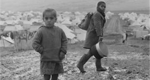 يوم اللاجئ العالمي .. تأكيد حق عودة اللاجئين الفلسطينيين